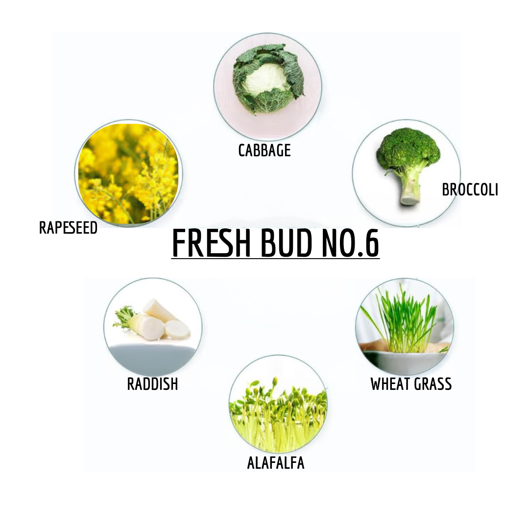 Hyaluronic Blue Gel Cream